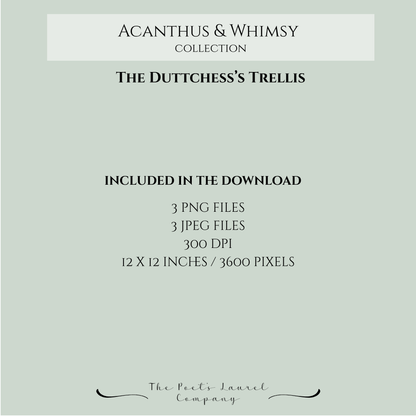 The Dutchess's Trellis